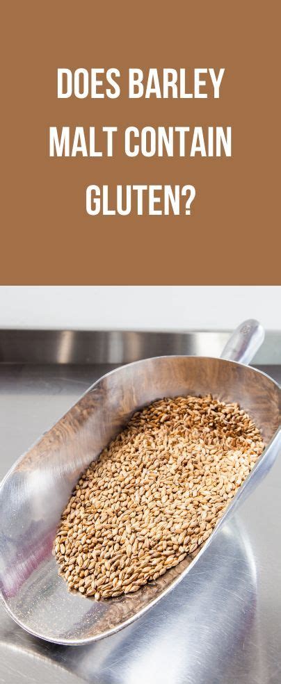 does barley grass contain gluten.